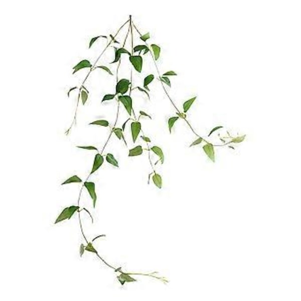 1 stk. Kunstig Klematis Rattan Pynt Simuleret Plante til Boligindretning (Grøn)