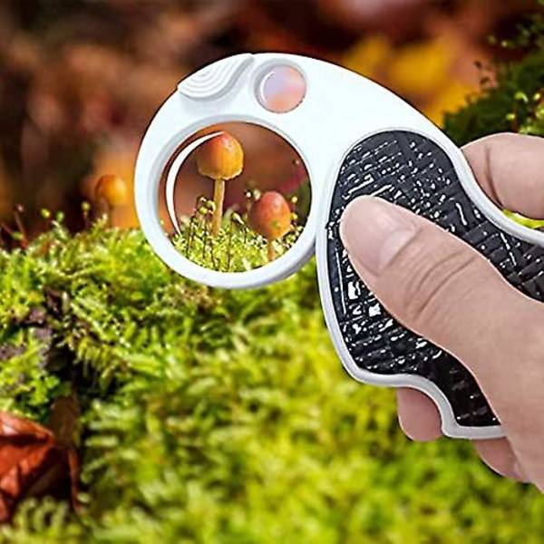 Forstørrelsesglas med lys, belyst lup, 5x håndtaske lup, lille belyst forstørrelsesglas