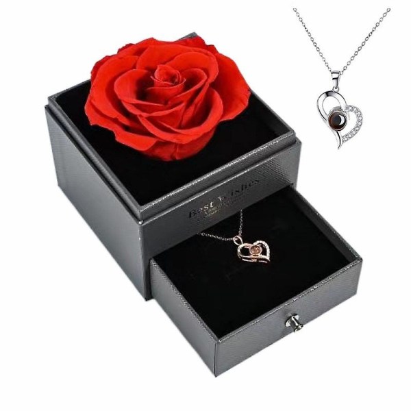 925 Sterling Silver Jag Älskar Dig Halsband 100 Språk Kärlek Halsband Kompatibel Wit