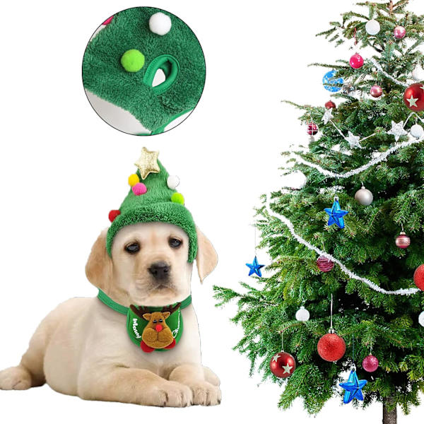 Juldräkt för husdjur, julkläder för hund, söt tomteluva