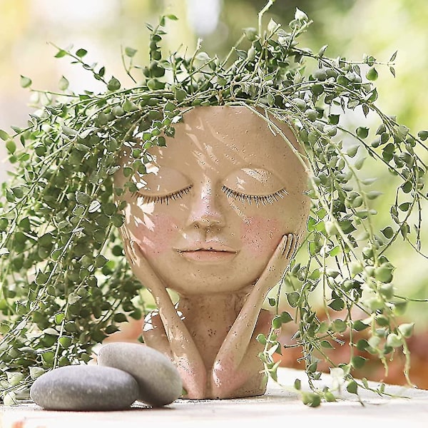 Blomkruka Huvud Krukväxt Kruka Söt Harts Kaktus Kruka