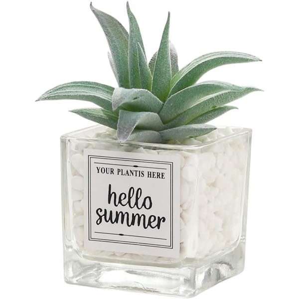 Mini blød glas bonsai kunstig sukkulent potteplante (ananas