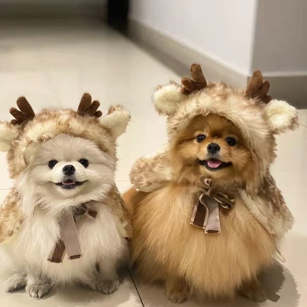 Jul husdjurskläder, älg cape, husdjurs cape,L