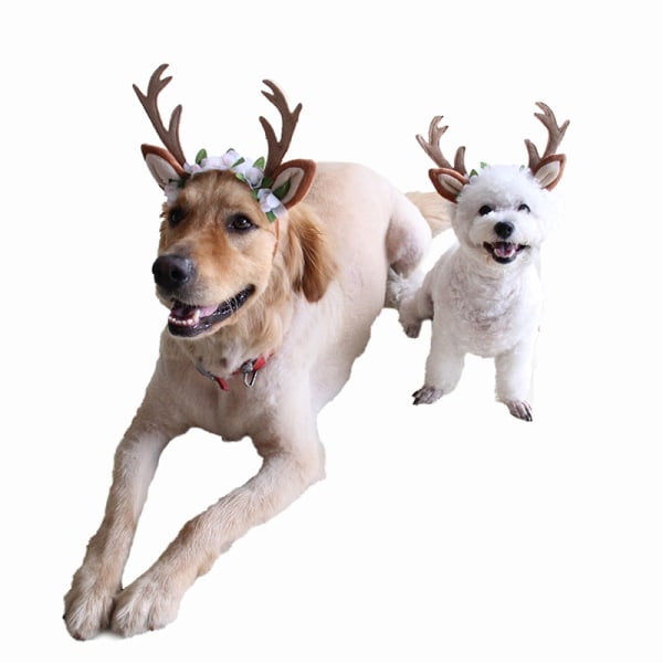 L, Pet Christmas Antler Pannband