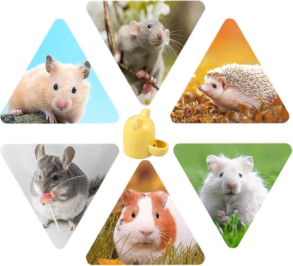 Keramisk hamsterflaske, hamsterfoder skål, keramisk hamster vand