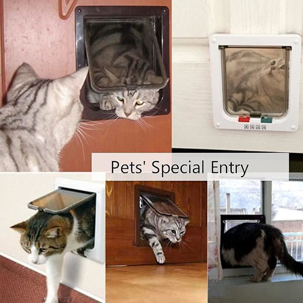 Katteluke som kan kontrollere retningen for inngang og utgang
