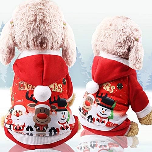 Hettegenser for liten hund S, julebomullsgenser