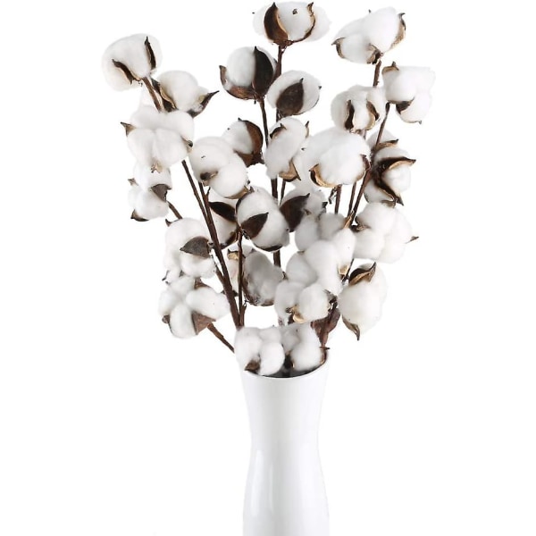 3pcs Cotton Branch 10 Heads Naturally Dried Flowers Artificial Decorative Flowers White