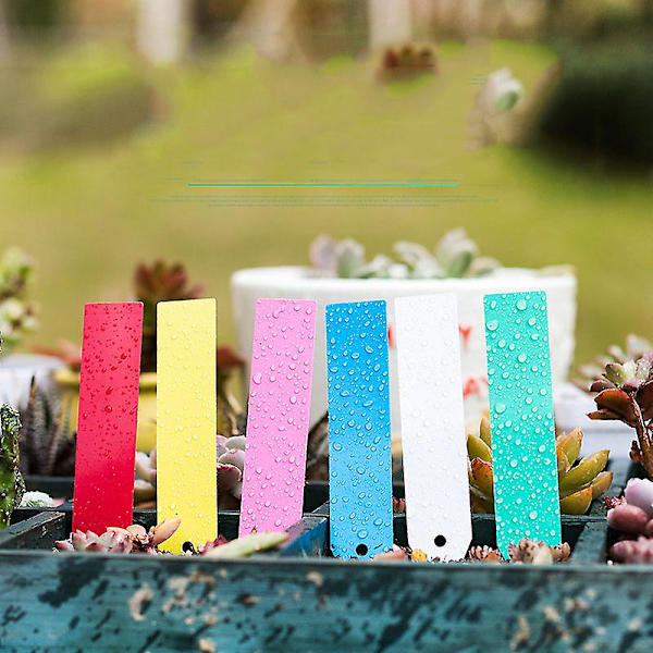100 stk. Tykke Plastik Plante Havemærke Havemærke Skilte Vandtætte Spidse Planteskolefrø Pot Markør Grøn