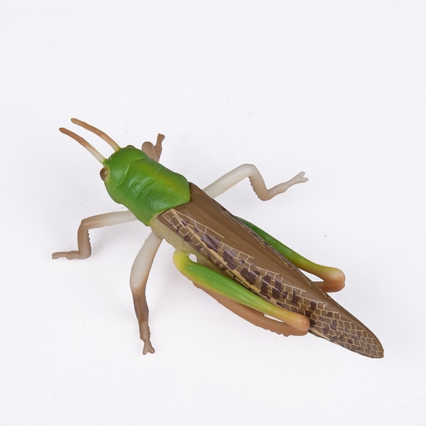 3 kpl Realistiset set - Biologian tiedelelut lapsille - Realistiset kumiset hyönteismallit