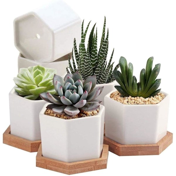 Sukkulente blomsterpotter, kaktuspotter, små blomsterpotter, mini blomsterpotter