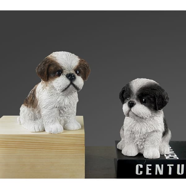 Arts Valp Shih Tzu brun, hvit