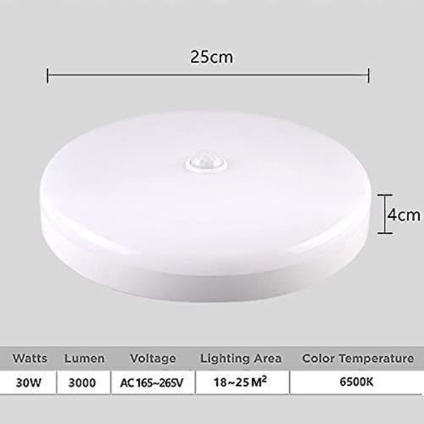 Menneskekropp induksjon taklampe 18w