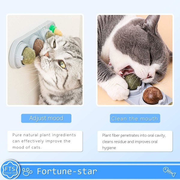 Fortune Star Catnip Squash Cat Toys Catnip Licking Balls Edible S