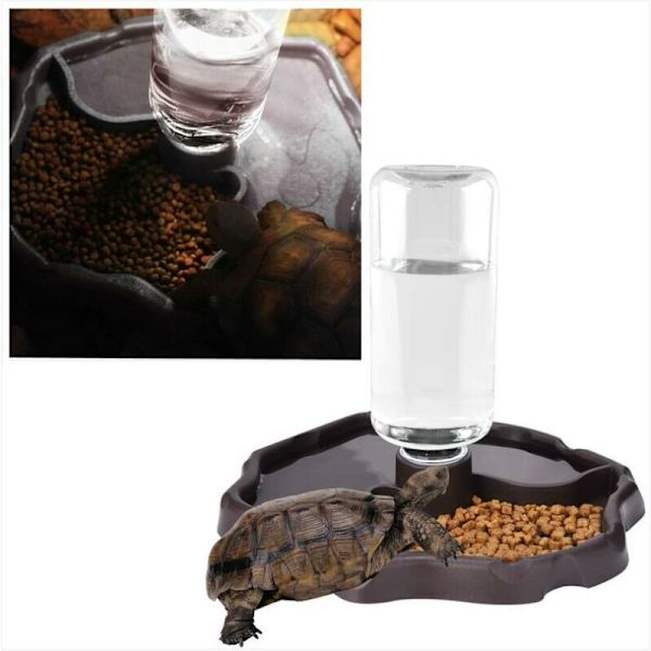 Reptilvattendispenser, Sköldpaddsvattendispenser, Sköldpaddsmatskål 2 i 1
