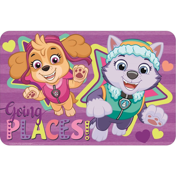 Paw Patrol matta 43*28 cm