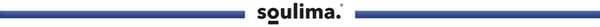 Tandborsthuvud för Soulima X800 - 2-Pack White
