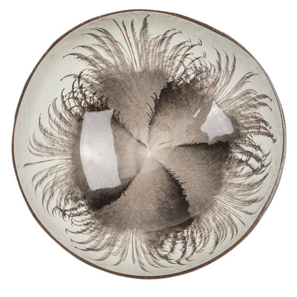 Kokosskål / Serveringsskål / Skål - 13 cm Multicolor