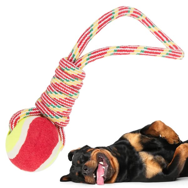 Dragleksak med boll / Kampleksak för Hund - Hundleksak
