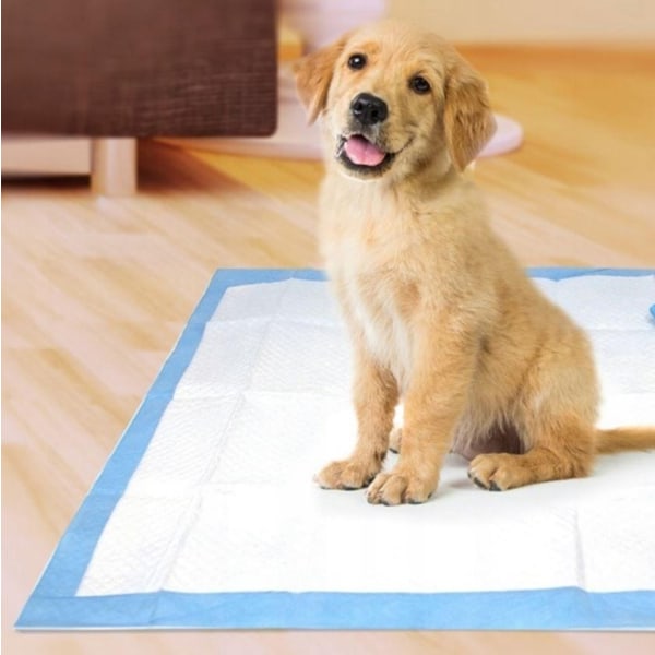 Kissmatta med Bajspåsar för Hund / Valpmatta / Hygienunderlägg Blue 60x60cm - 50-Pack