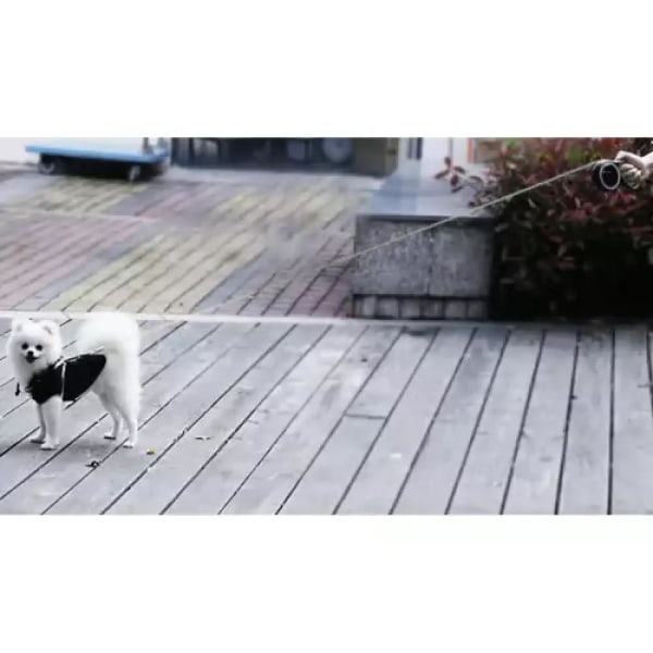 Hundkoppel / Flexibelt Rullkoppel för Hund - Välj längd! Black 8m/50kg