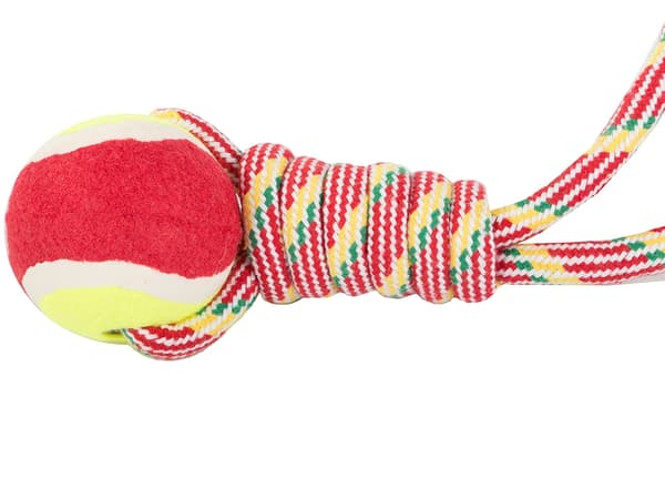 Dragleksak med boll / Kampleksak för Hund - Hundleksak