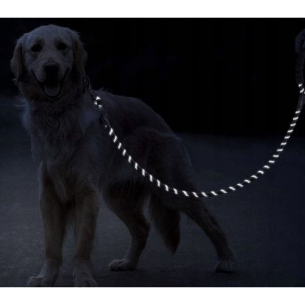 Hundkoppel med Reflex / Koppel för Hund - 3m Svart