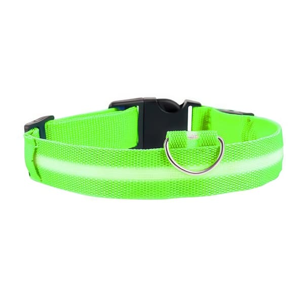 LED Hundehalsbånd Oppladbart / Refleks & Halsbånd til Hund L - Grön