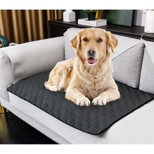 Underlag / Matte for Hund & Katt - 70x50cm Black