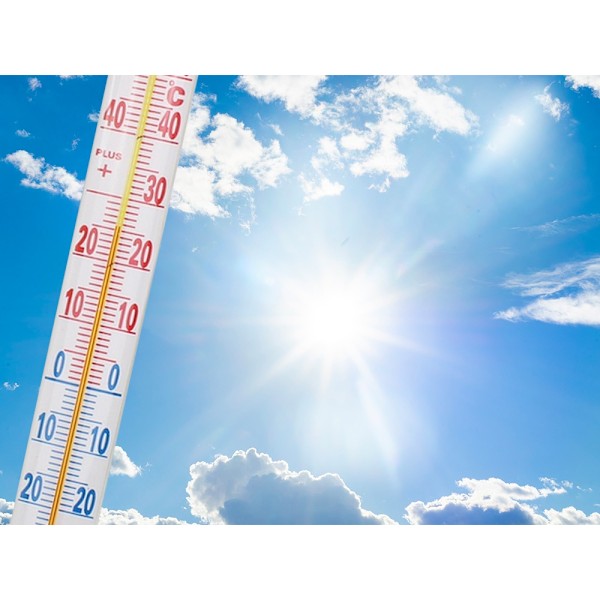 Termometer Självhäftande