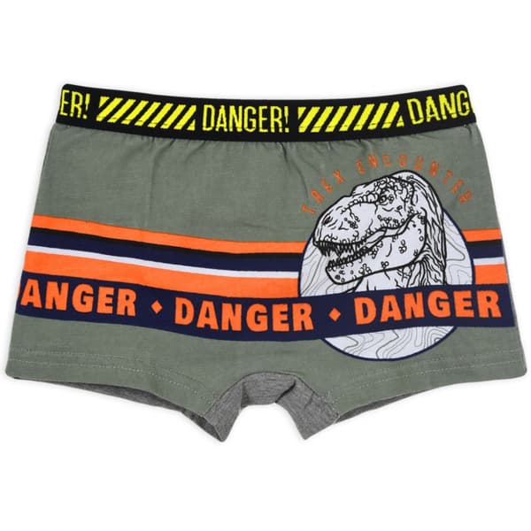 Jurassic World Kalsonger för Barn - 2-Pack 4-5 år