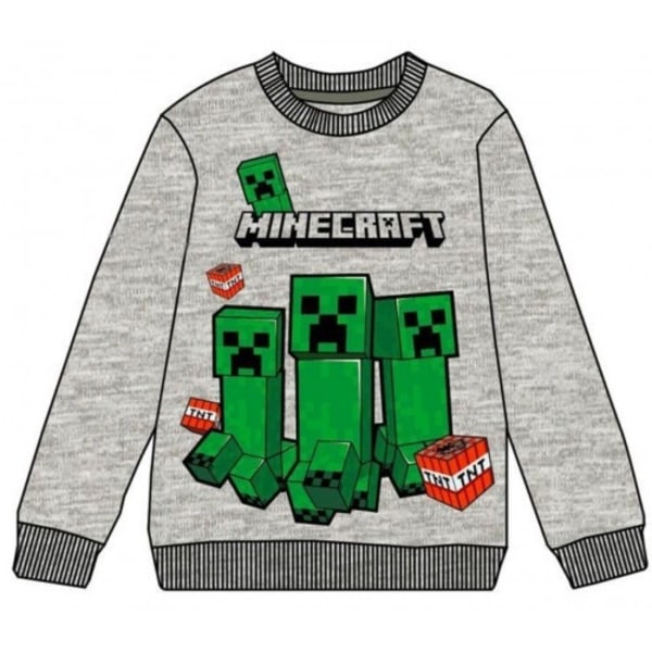 Minecraft Tröja för Barn 9 år