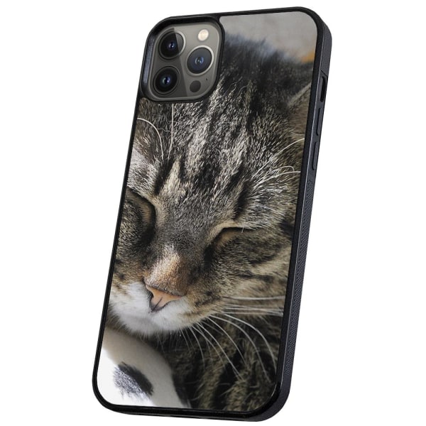 iPhone 11 Pro - Deksel/Mobildeksel Sovende Katt Multicolor