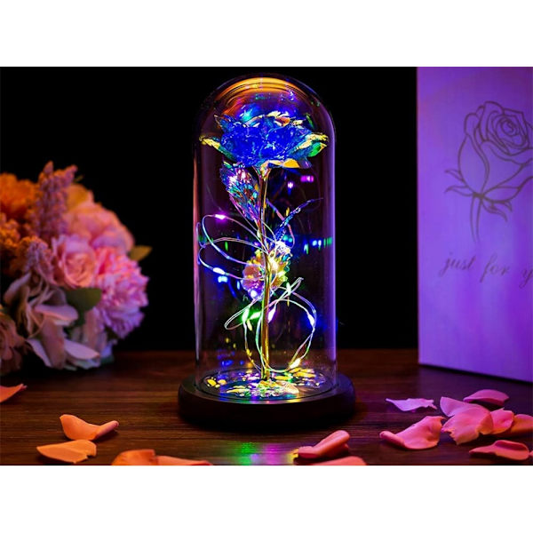 Evig ros i glas present led lysande blått glas för kvinnodagen