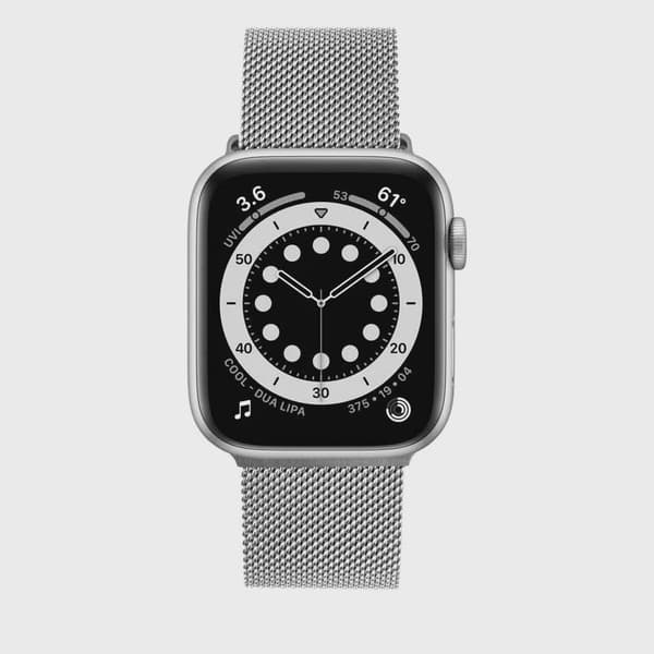 FIXED Mesh metallrem för Apple Watch 42/44/45/49mm Silv.