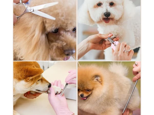 Hundtrimmer - Professionell trådlös klippmaskin