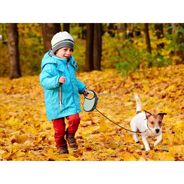 Hundkoppel 5m - Rullande - Flexibelt Rullkoppel - Hund Koppel