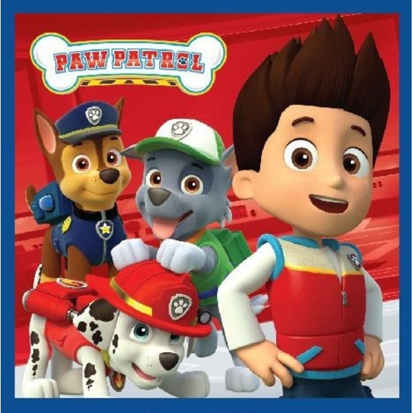 Paw Patrol Magic Handduk Ansiktsduk, Handduk 30x30 cm
