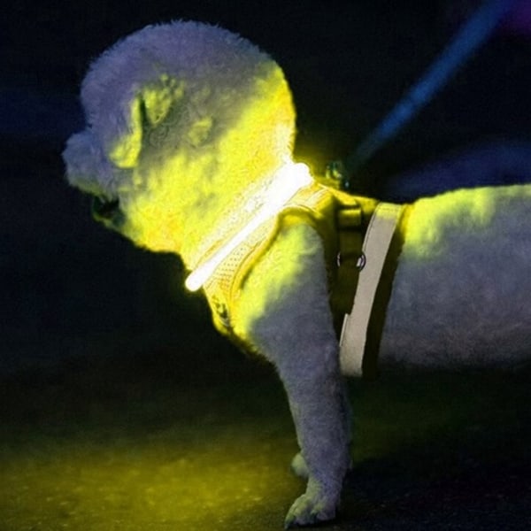 LED Hund / Katt Halsband - Uppladdningsbar