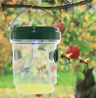 Insektsfälla solcell