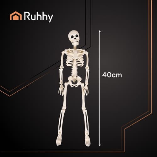 Skelett 40 cm - Halloween