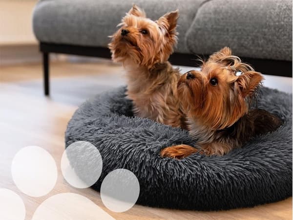 Fluffig hundsäng kattsängkläder mjuk kudde soffsäng 50cm