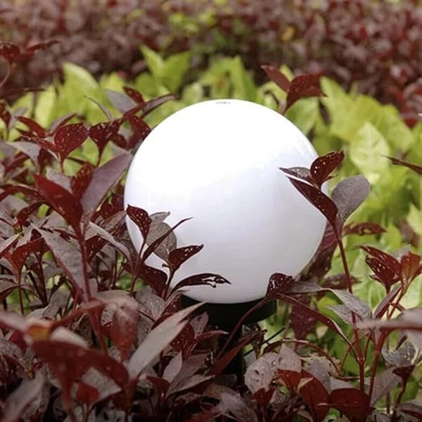 LED-hagelamper med solcelle - 6-pak