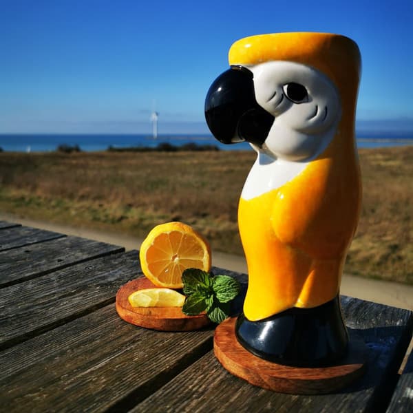 Tiki Papegoja 59 cl Gul
