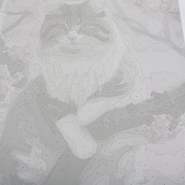 Måla Efter Nummer Kit - 40x50cm - Kattunge
