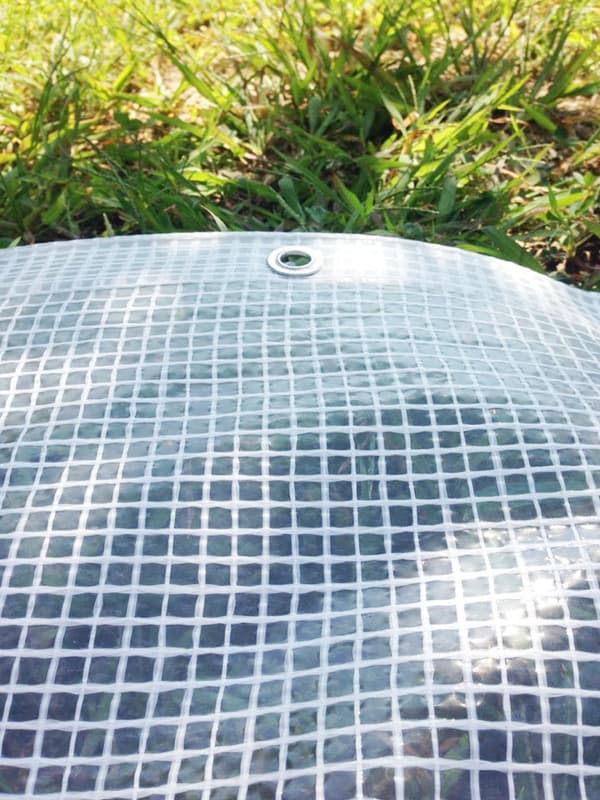 Presenning 3 x 4 m transparent