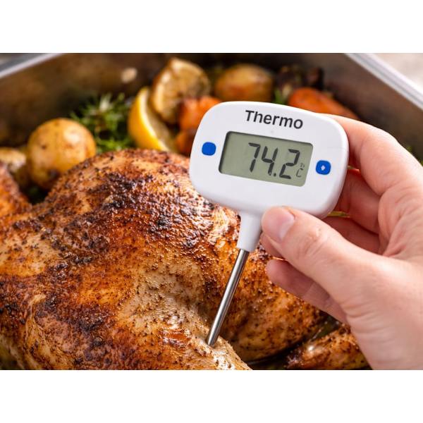 Digital kökstermometer med steksond