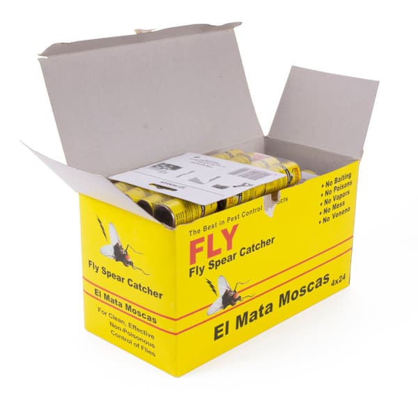Flugfångare 4-pack