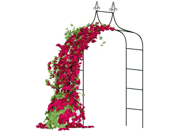 Rosenbåge - För rosor och klätterväxter