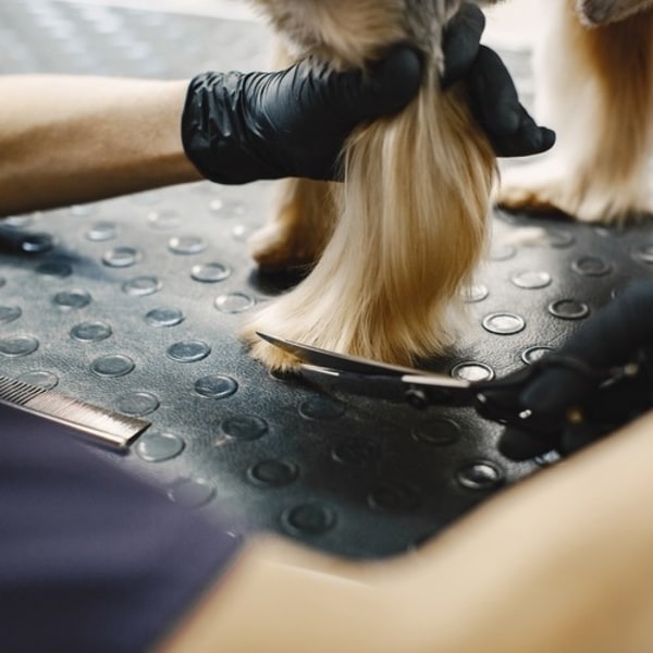 Hundeklipper Kit - Saks for hunder